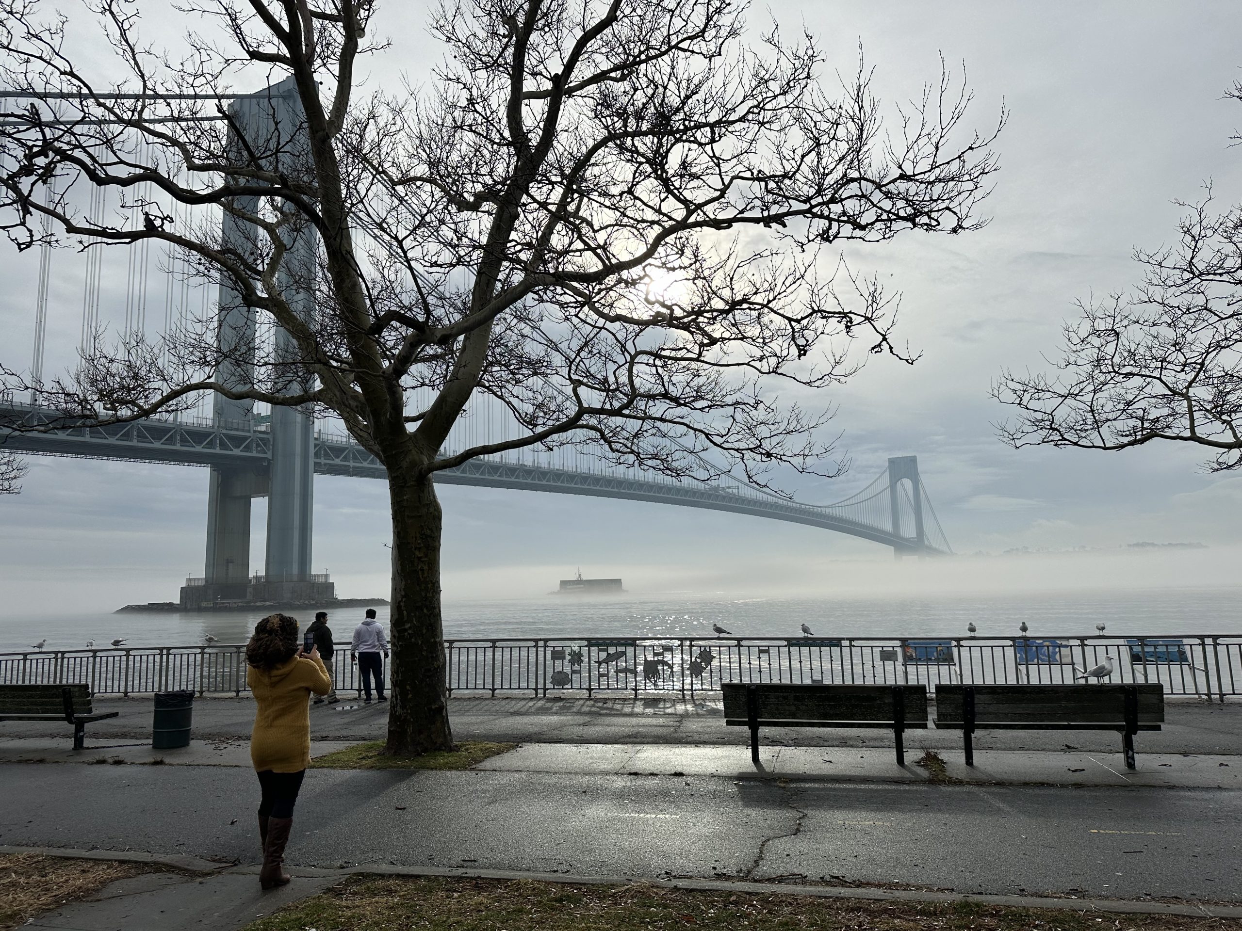 Introducing: Street photography nyc